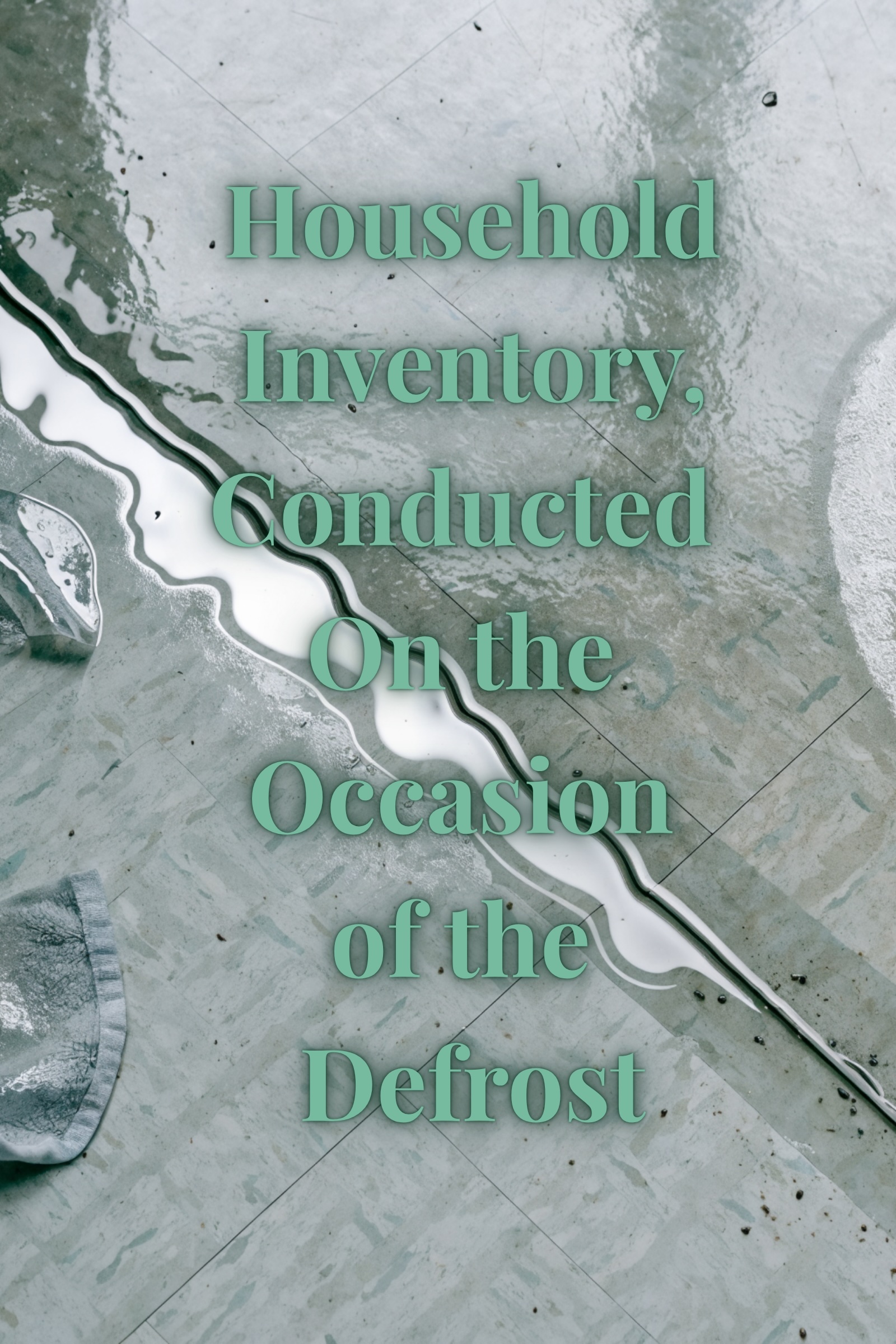 HOUSEHOLD INVENTORY, CONDUCTED ON THE OCCASION OF THE DEFROST